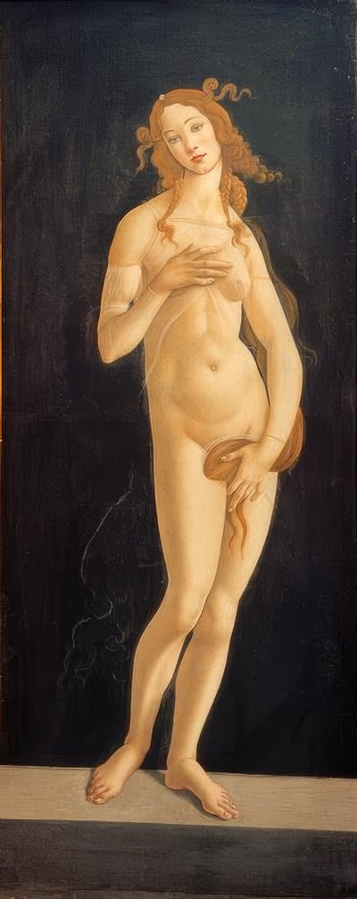 Venus by Sandro Botticelli